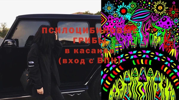 шишки Аркадак