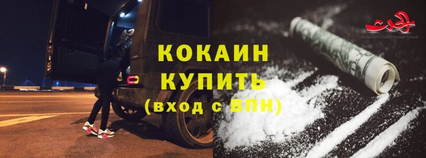 шишки Аркадак