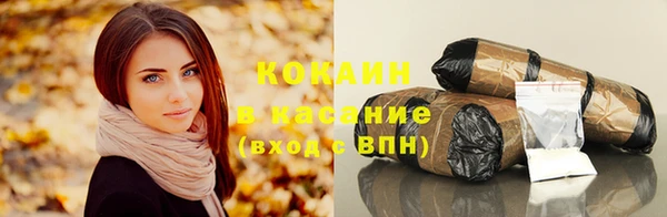 шишки Аркадак