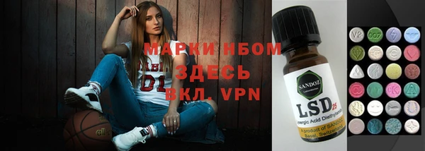 шишки Аркадак