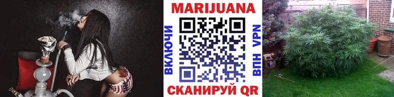 Конопля OG Kush  купить   shop состав  Бикин 